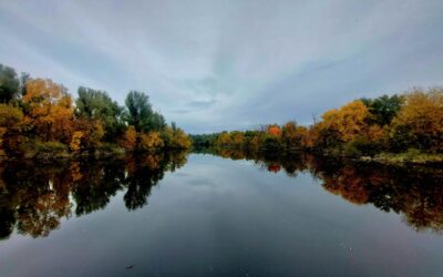 Škola u prirodi – Slavonija