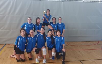 Odbojka (djevojčice do 6. razreda) – 2. mjesto u županiji